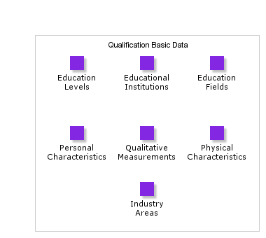 QualificationBasicData