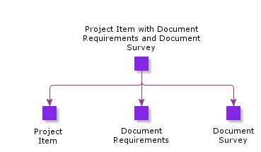 ProjectItemWithDocumentRequirementsAndDocumentSurvey