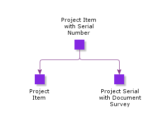 ProjectItemwithSerialNumber